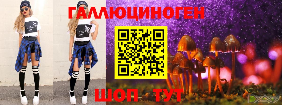 Псилоцибиновые грибы MAGIC MUSHROOMS  Галлюциногенные грибы мухоморы  купить наркоту  Вход с VPN  Сланцы 