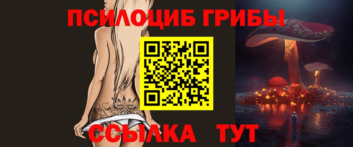 Псилоцибиновые грибы Psilocybine cubensis Сланцы